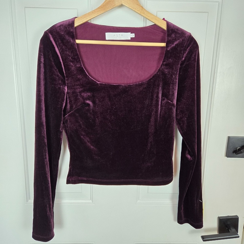 Astr The Label Velvet‎ Long Sleeve Top S Plum Purple Cropped Lined Going out